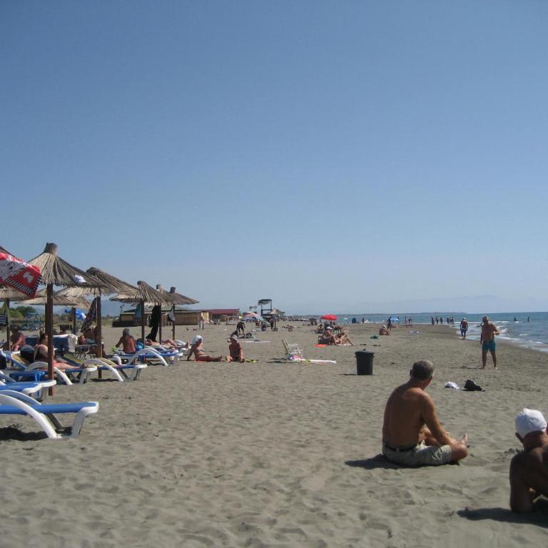 Guest House Vila Mimoza - Apartman sa 1 Spavaćom Sobom - 4