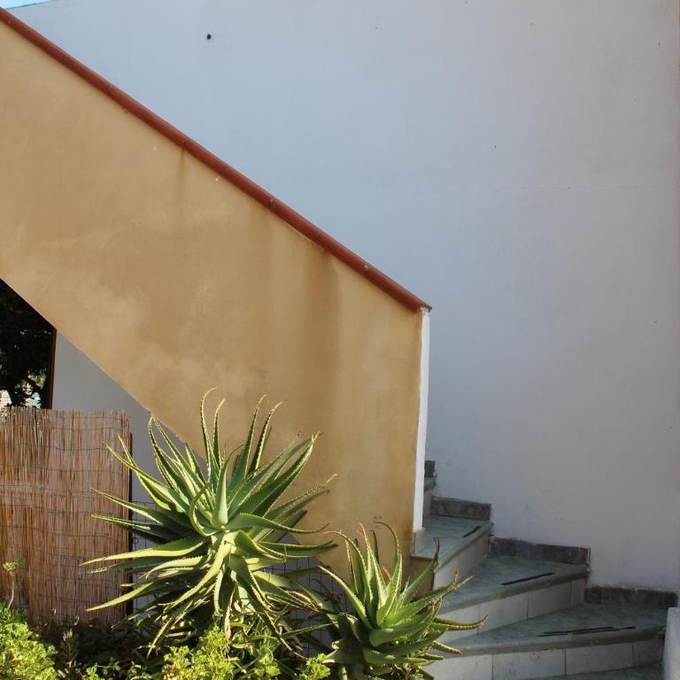 Casa Vancanze Budoni - Casa Vacanze - 3