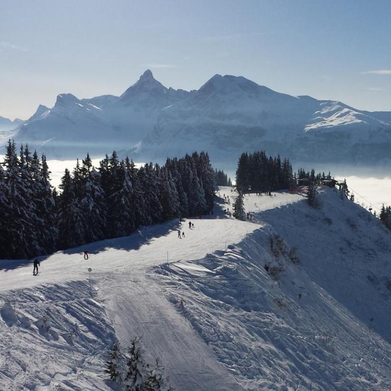 BelleVue centre, wifi, mountain view - Appartamento con Vista Montagna - 60