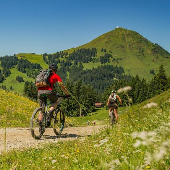 "sunnseit" Appartement - Apartment mit Blick auf die Berge - 28