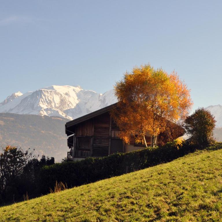 Chalet du MONT-BLANC - Chalet 4 Chambres - 3