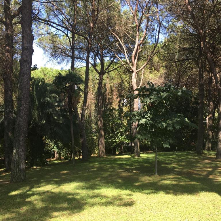 Villa il Parco - Appartamento con Vista Giardino - 4