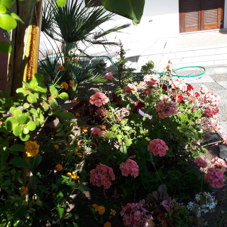Villetta Lucia - Casa con 2 Camere da Letto - 11