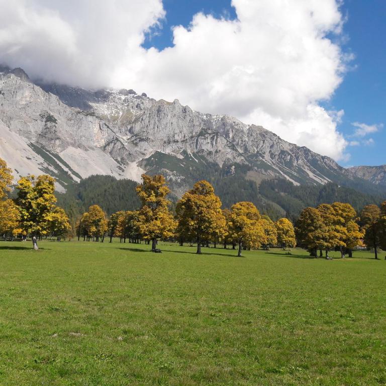 Appartement "Haus Lisa" in Ramsau am Dachstein - Apartamento - 20