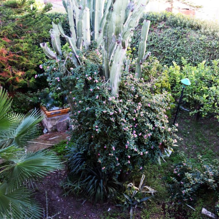 ArtRoom Garden - Monolocale con Vista Giardino - 45