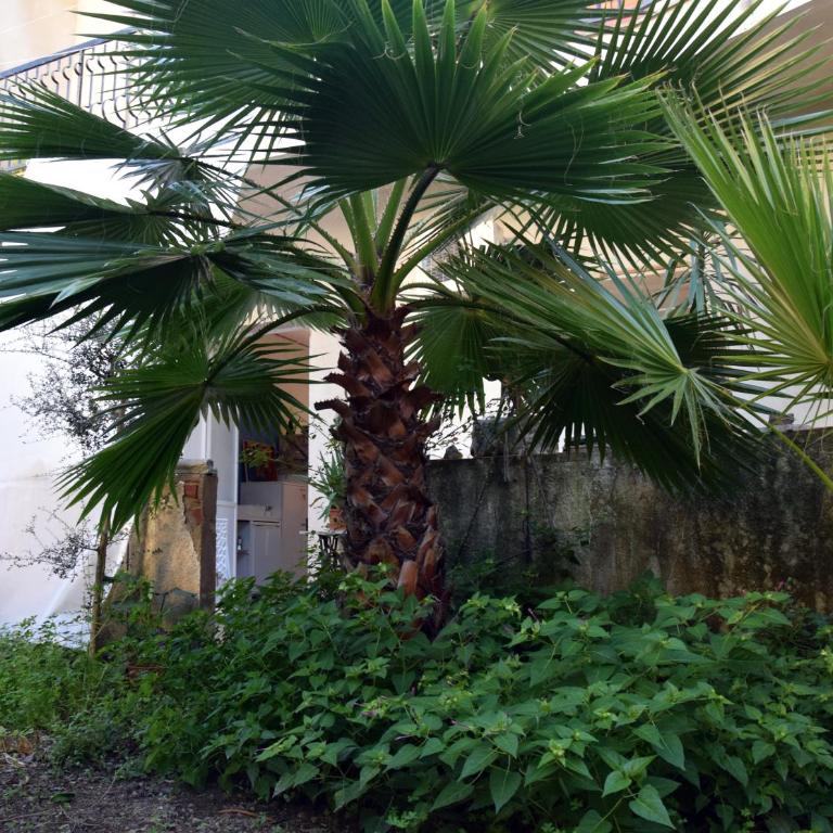 ArtRoom Garden - Monolocale con Vista Giardino - 44