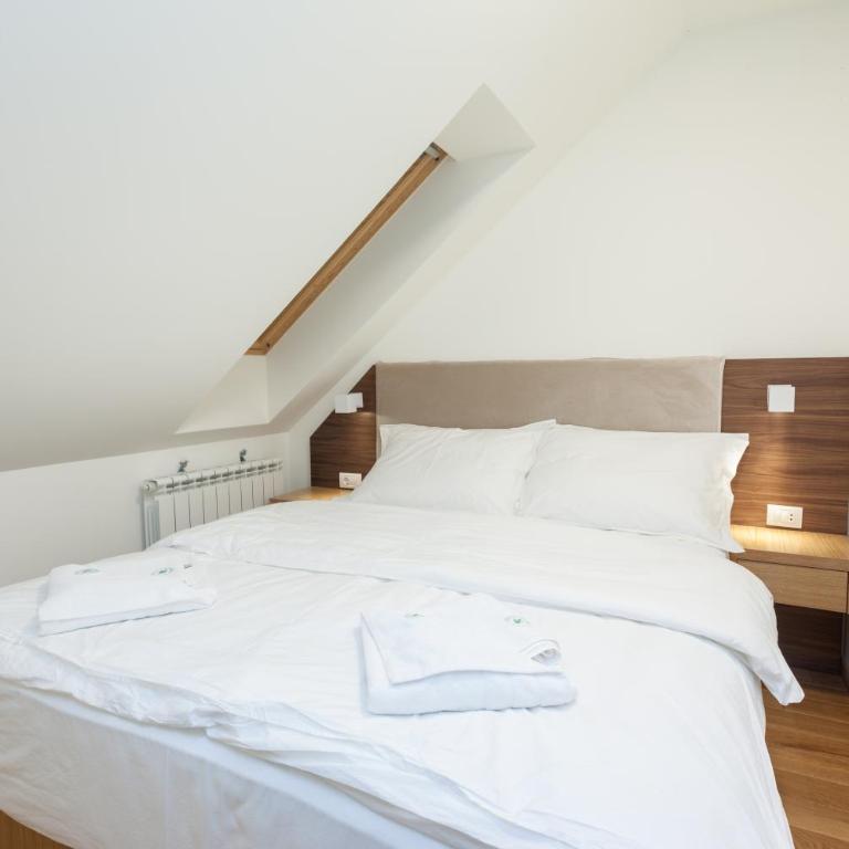 Vila Borova Zlatibor Apartments - Apartman sa 2 Spavaće Sobe - 8