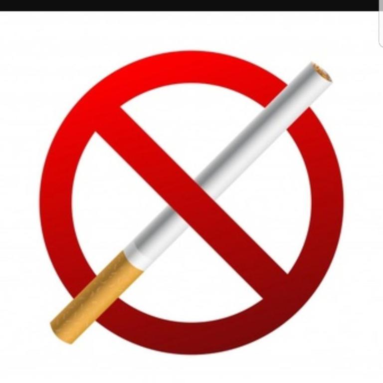 Casa Huemules - Casa de 3 dormitorios - 15