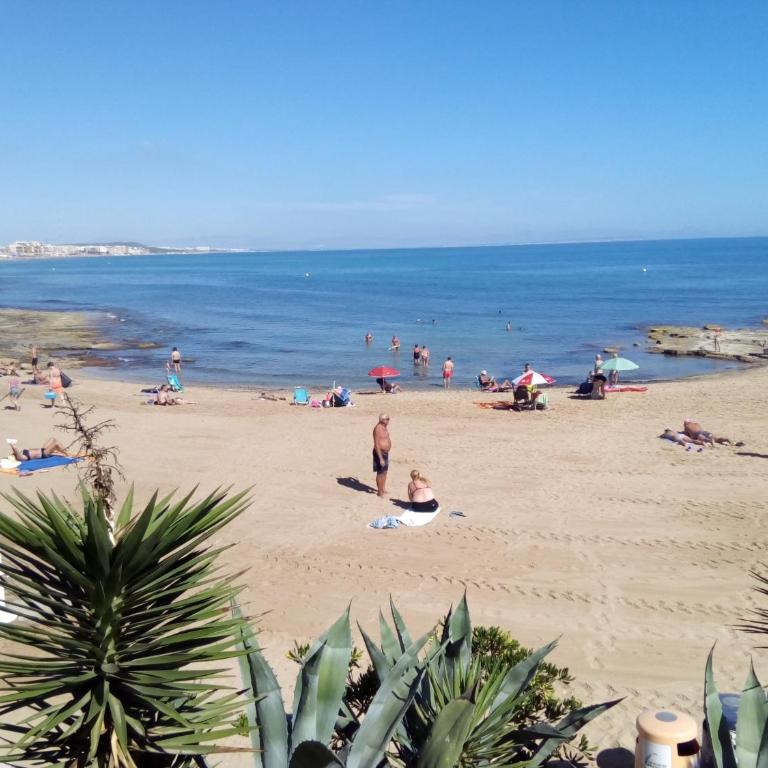 Cabo Cervera Front Sea - Apartamento de 2 dormitorios - 1