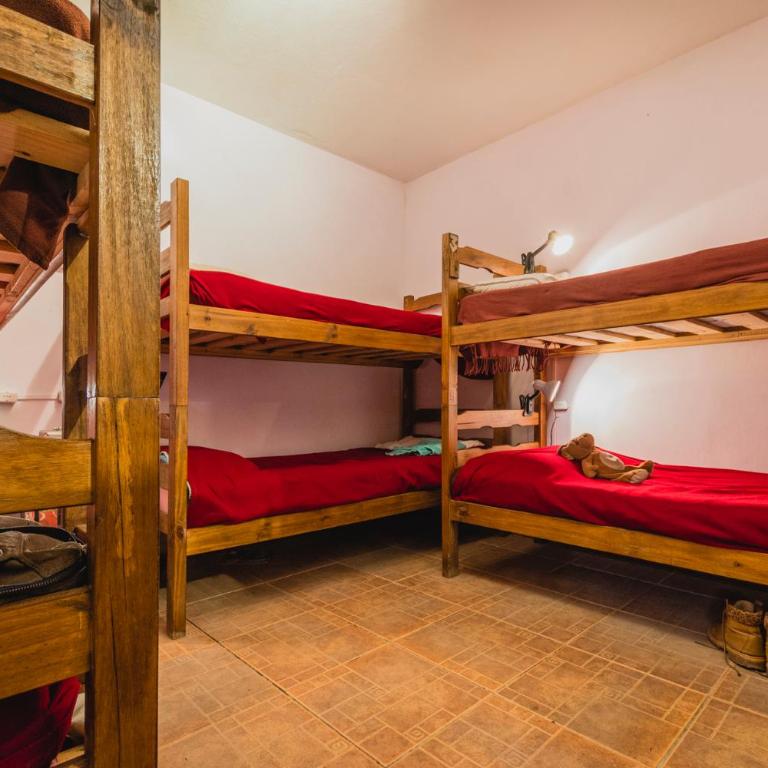 The Trip Hostel - Bunk Bed in 6-Bed Female Dormitory Room - 1