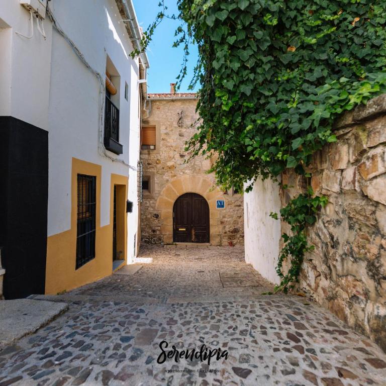Serendipia - Apartamento de 1 dormitorio - 26