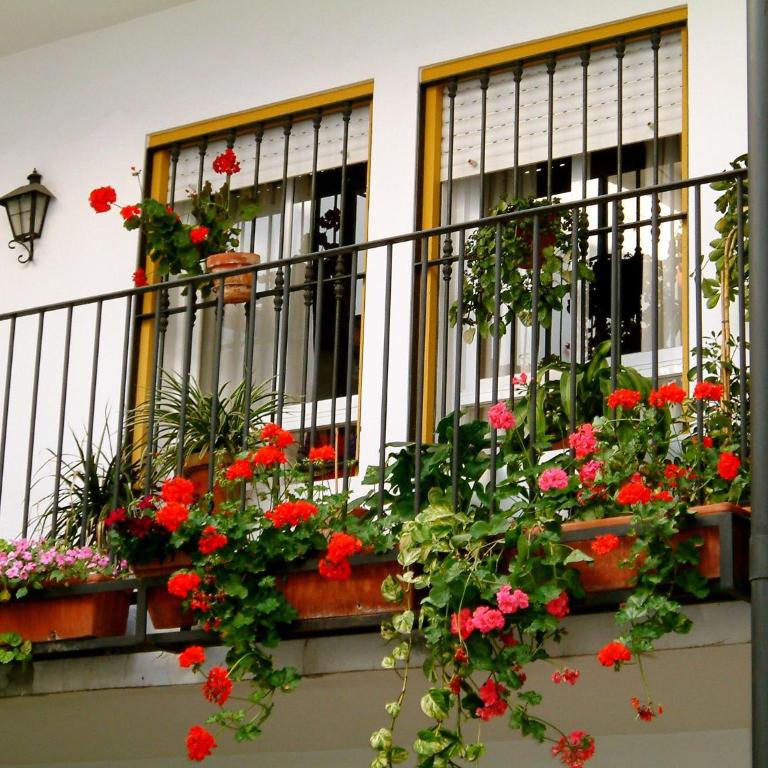 RentalSevilla San Clemente - Apartamento - 20