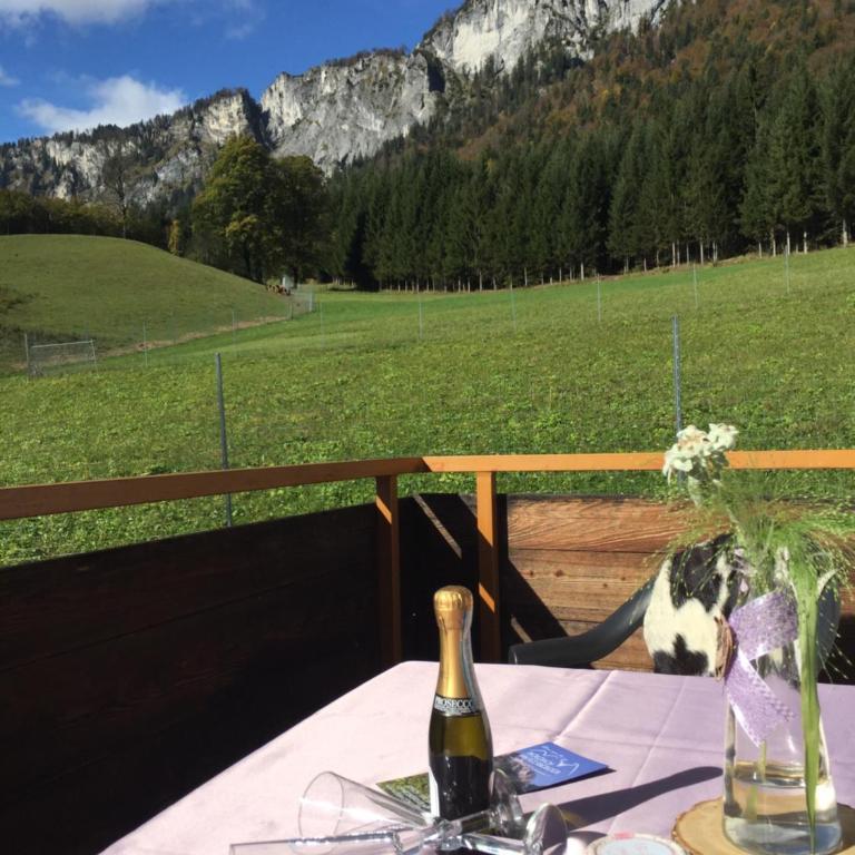 Berghof Haselsberger Appartements - Apartamento con balcón - 41