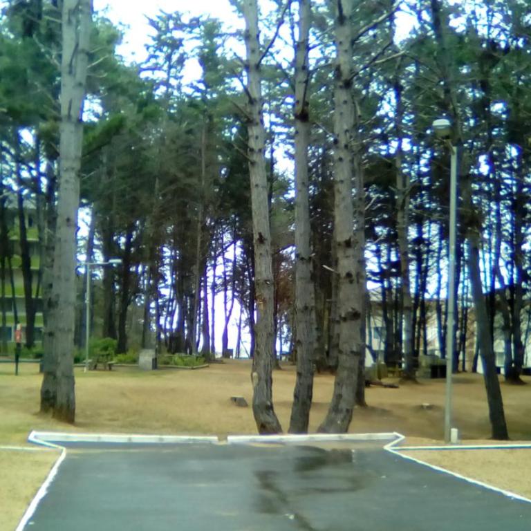 Departamento Bosques del Tabo - Two-Bedroom Apartment - 43