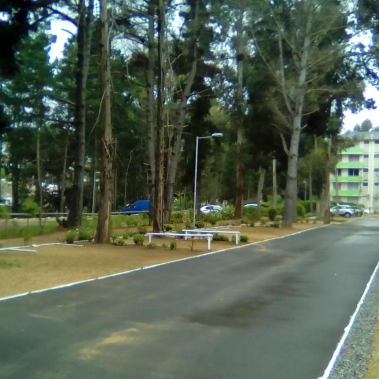 Departamento Bosques del Tabo - Two-Bedroom Apartment - 42