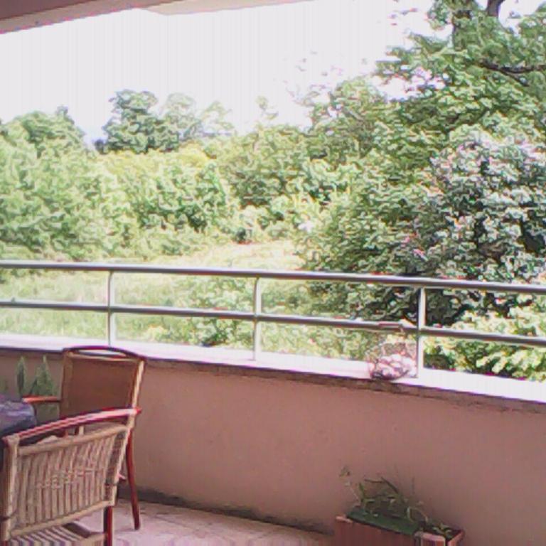 rossignol - Appartement avec Terrasse - 12