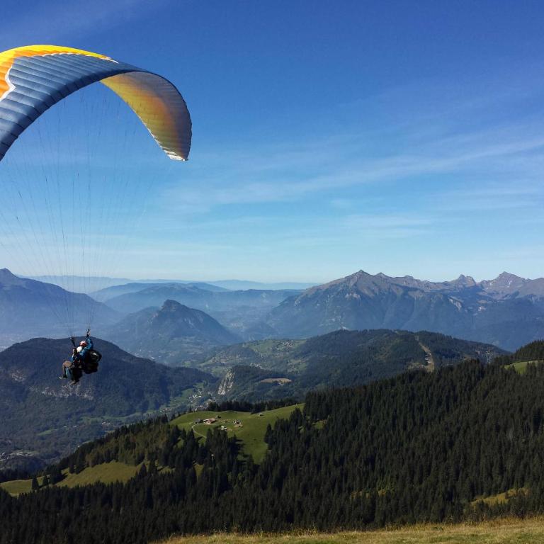 BelleVue centre, wifi, mountain view - Appartamento con Vista Montagna - 38
