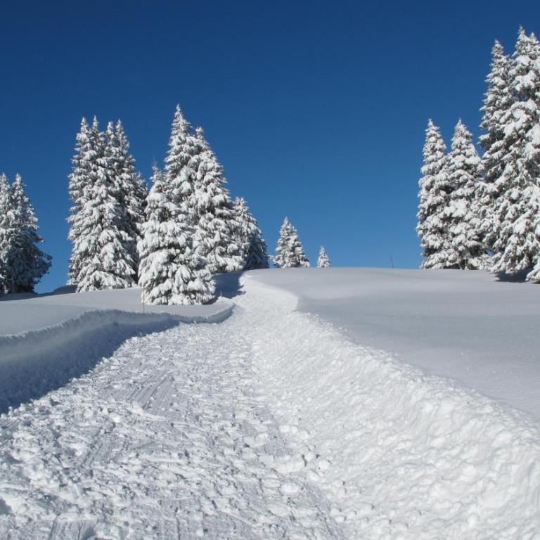 BelleVue centre, wifi, mountain view - Appartamento con Vista Montagna - 51