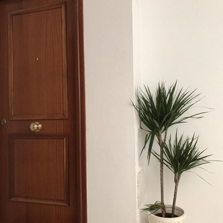 Salamanca 7 - Apartamento de 2 dormitorios - 34