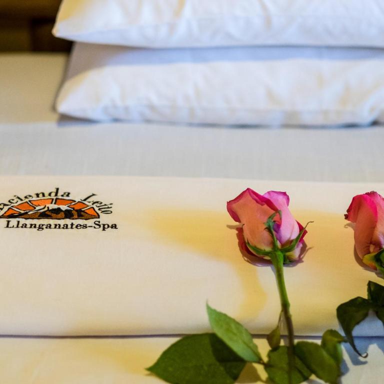 Hacienda Leito - Suite - 2