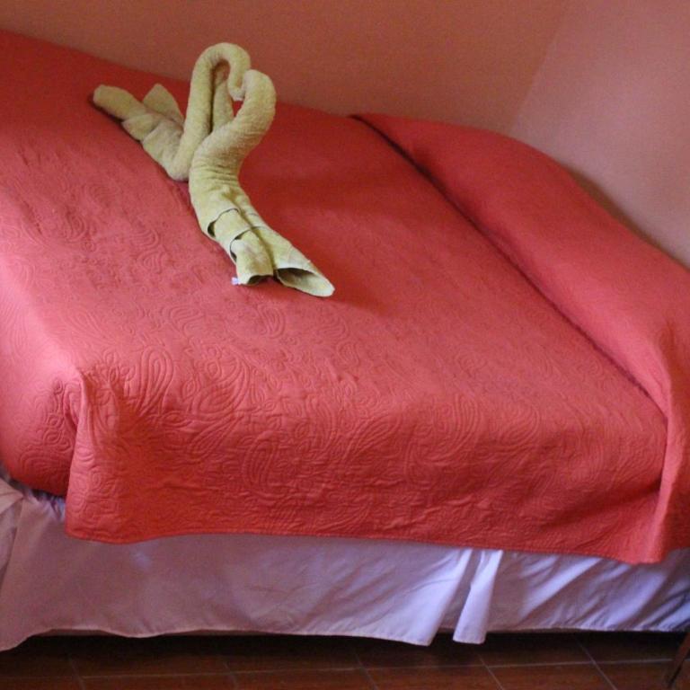 Hostal Tuyasto - Twin Room - 6