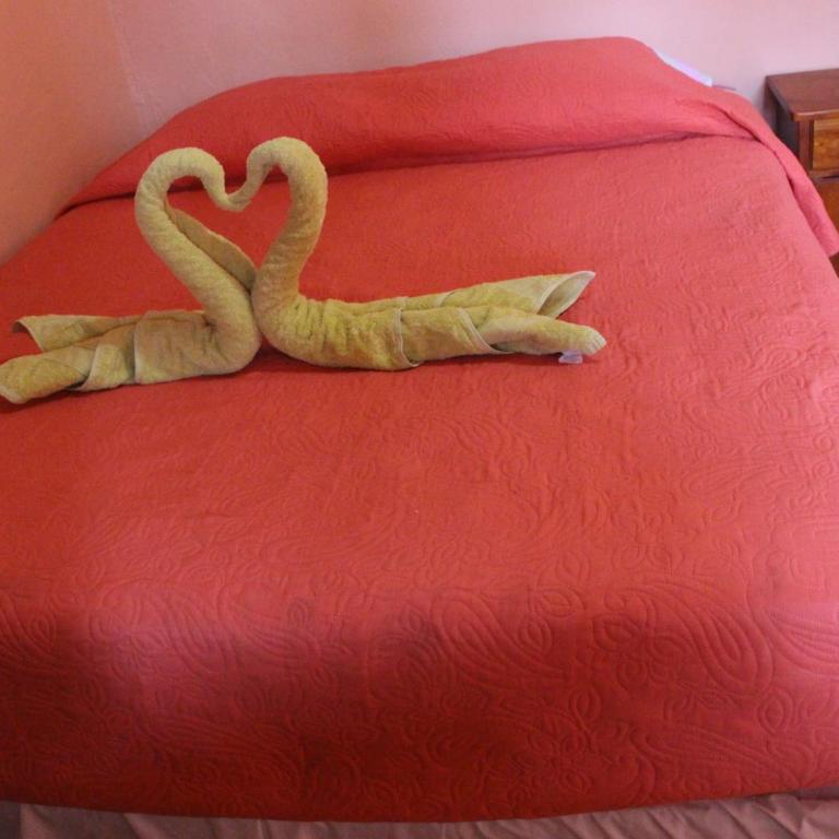 Hostal Tuyasto - Twin Room - 8