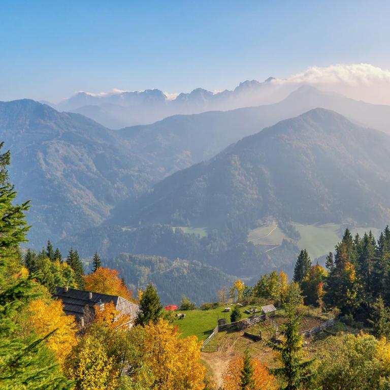Obiralmhütte Meierhof - Chalet - 12
