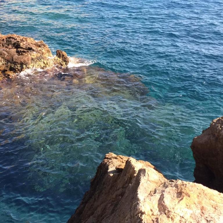 Cap Sa Sal Turquesa - Apartamento de 2 dormitorios con terraza y vistas al mar - 30