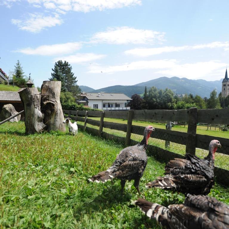 Tauerncamping Apartment - Appartamento Monolocale - 11