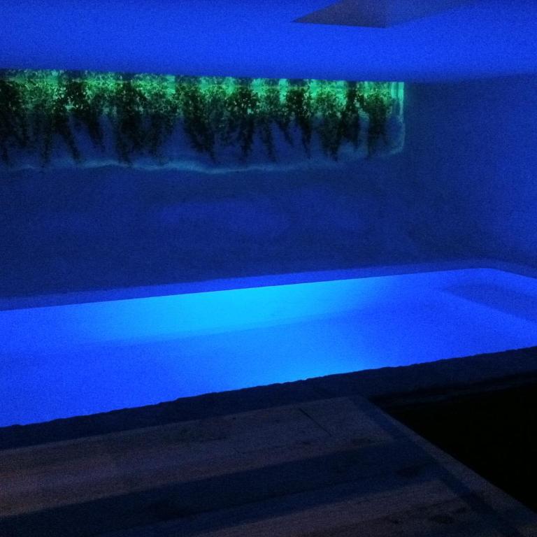 Residence Aqualiva à Valberg Piscine privative dans chacun des appartements situé à 20 m des pistes de ski - Maisonette-Loft mit eigenem Pool (4 Erwachsene) - 36