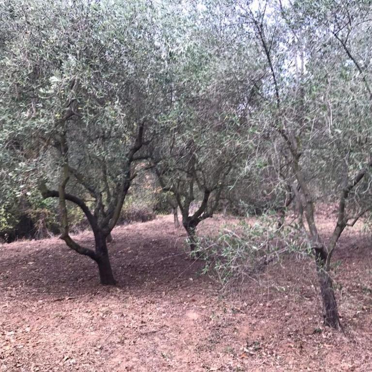 Casa dei Templari - Casa Vacanze - 42