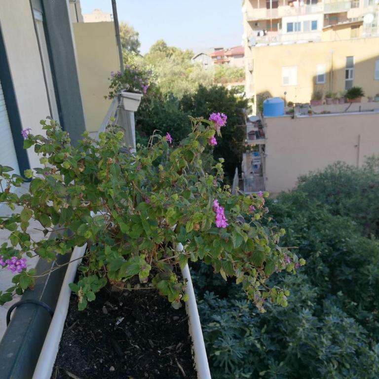 A Casa di Ida - Appartamento con 2 Camere da Letto - 34