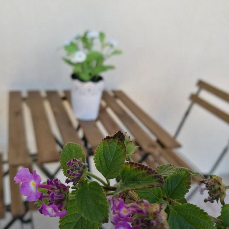 A Casa di Ida - Appartamento con 2 Camere da Letto - 27