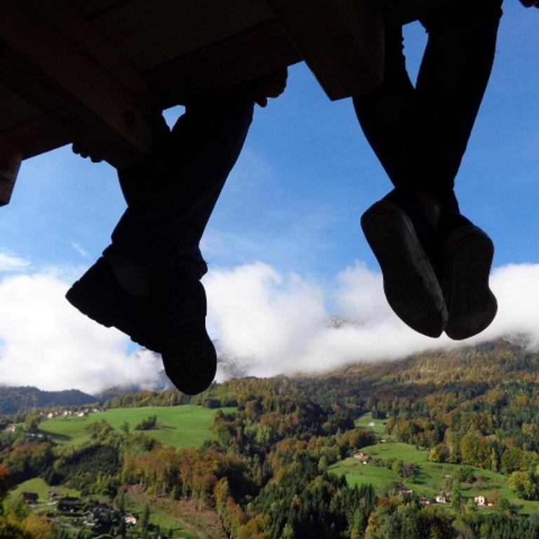 chalet Noyer - Domaine du Fraizier - Chalet - 17