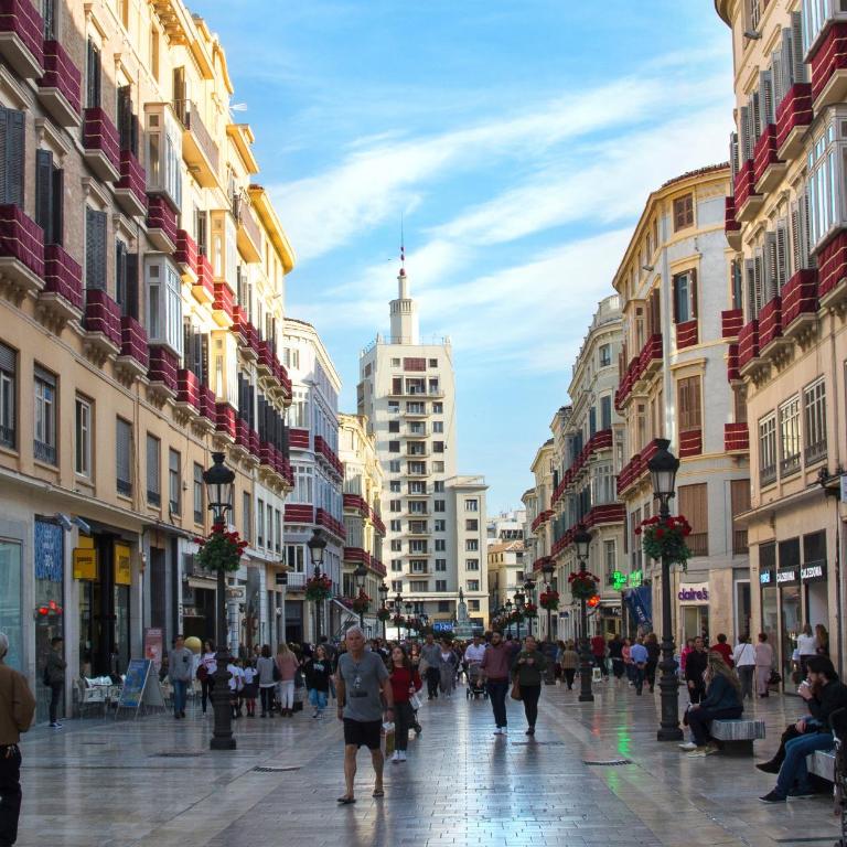 Acogedor apartamento cerca Centro Histórico de Málaga - Apartment - 12