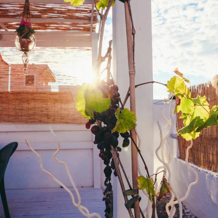 Dimora Storica Monopoli - Casa con 3 Camere da Letto - 5