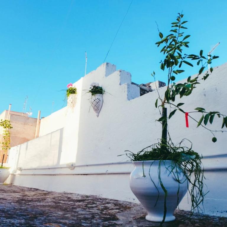 Dimora Storica Monopoli - Casa con 3 Camere da Letto - 7