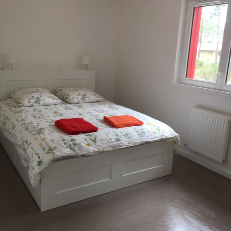 Villa Coquelicot - Appartement 1 Chambre - 4