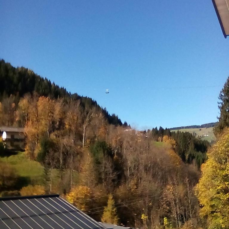 Appartement Deisl - Apartment mit 3 Schlafzimmern - 6