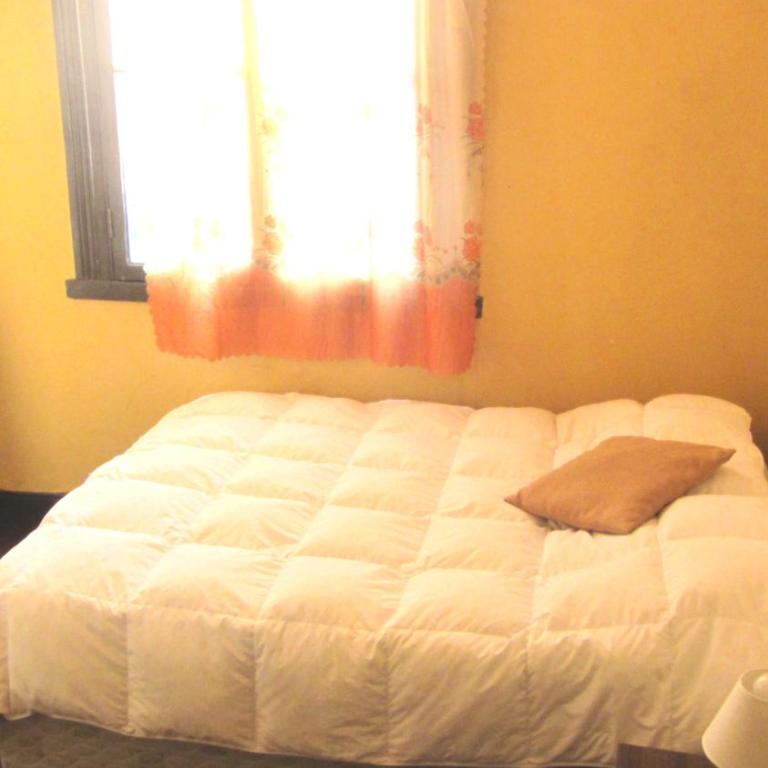 Hostal Odeón - Espino - 2