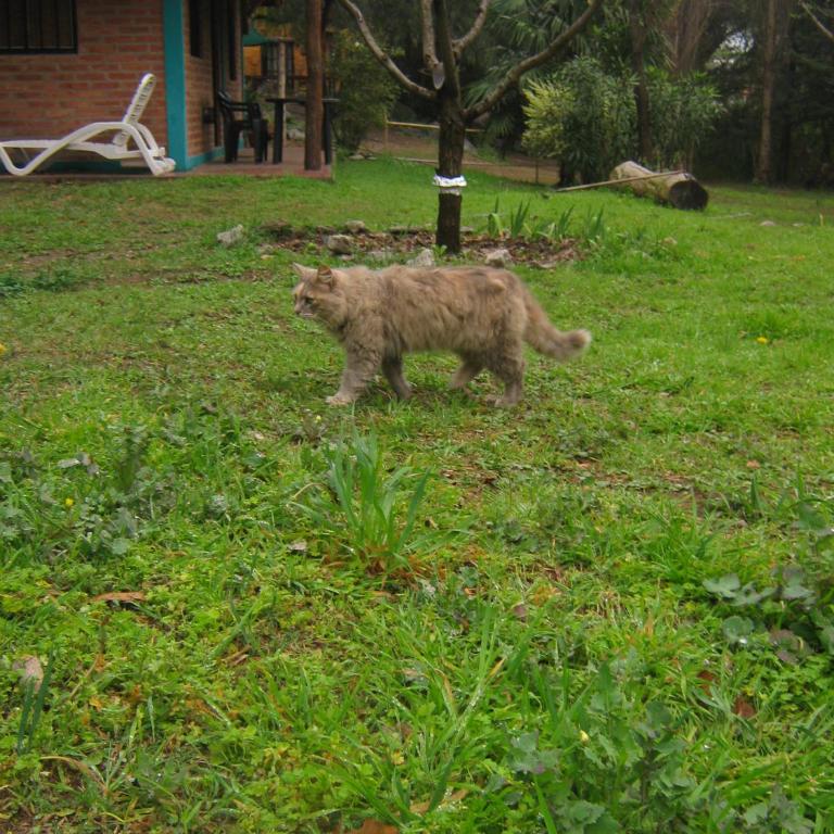Monteverde - One-Bedroom House - 12