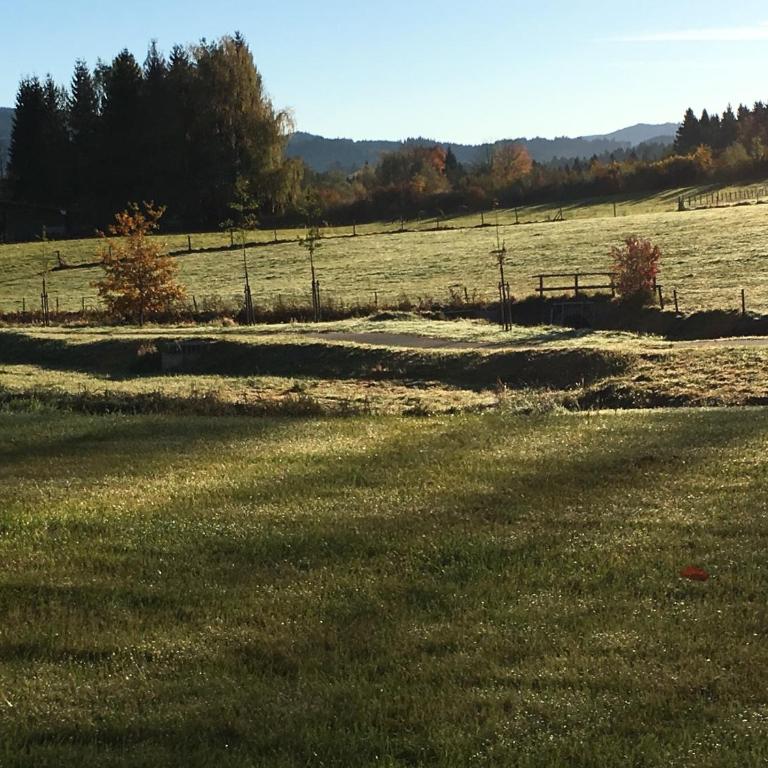 ALLGÄU HAUS - Appartamento con Terrazza - 27
