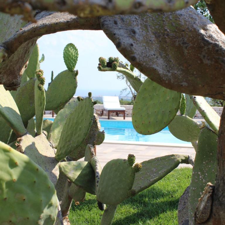 Villa Mest Pepp - Villa con Piscina Privata - 43
