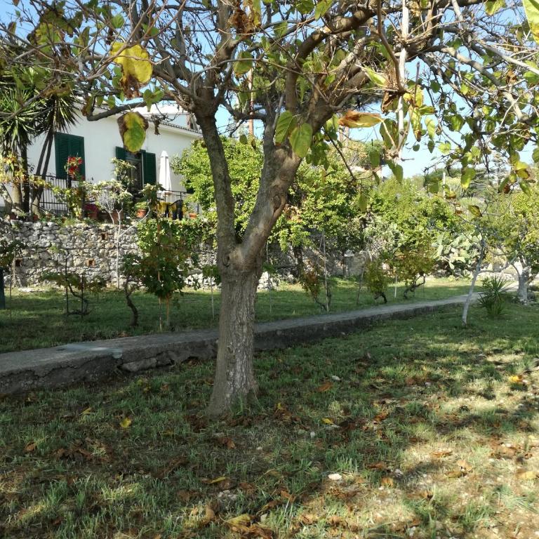 Villa Ninetta-Isabella - Two-Bedroom House - 35