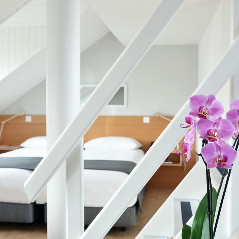 Hotel des Alpes - Studio Duplex avec Terrasse - 4