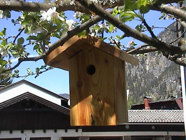 Haus Waldfriede - Apartment mit 1 Schlafzimmer (2 Erwachsene) - 4