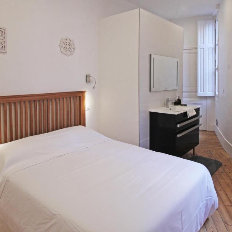 Toulouse - Alsace Lorraine - Languedoc-Place du Salin-Muséum Histoire naturelle- Jardin des plantes-Musée Augustins- Palais de Justice station métro Carmes ligne B - Deluxe Apartment - 11