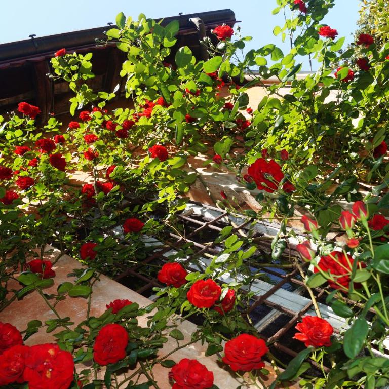 Villa Sassi - Villa - 48