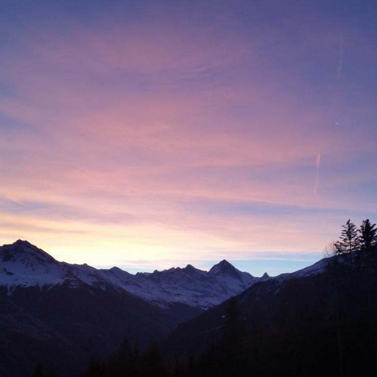 "Chalet le Dahlia - 4 Vallees" - Superior Chalet - 30