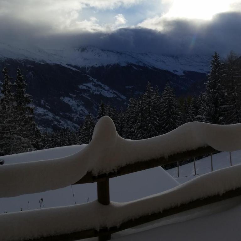 "Chalet le Dahlia - 4 Vallees" - Superior Chalet - 23